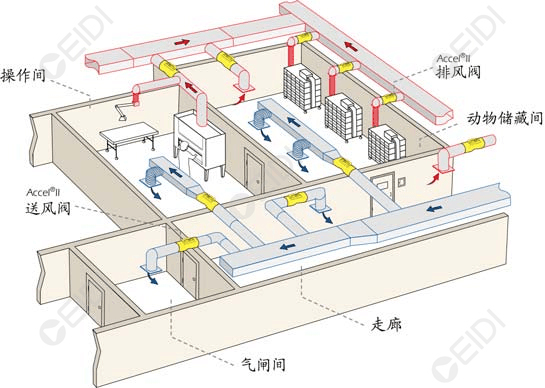 動物房潔凈室空調(diào)設(shè)計(jì)：開放式籠架具屏障環(huán)境送回風(fēng)設(shè)計(jì)要點(diǎn)  CEIDI西遞
